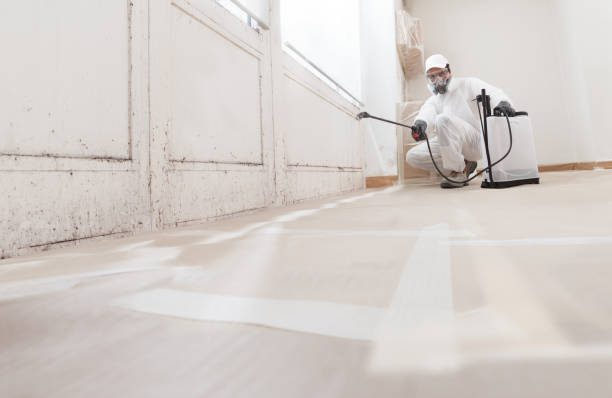 24/7 Emergency Attic Mold Removal experts in Zebulon, GA